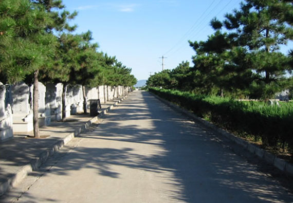 太子峪陵园墓区风景